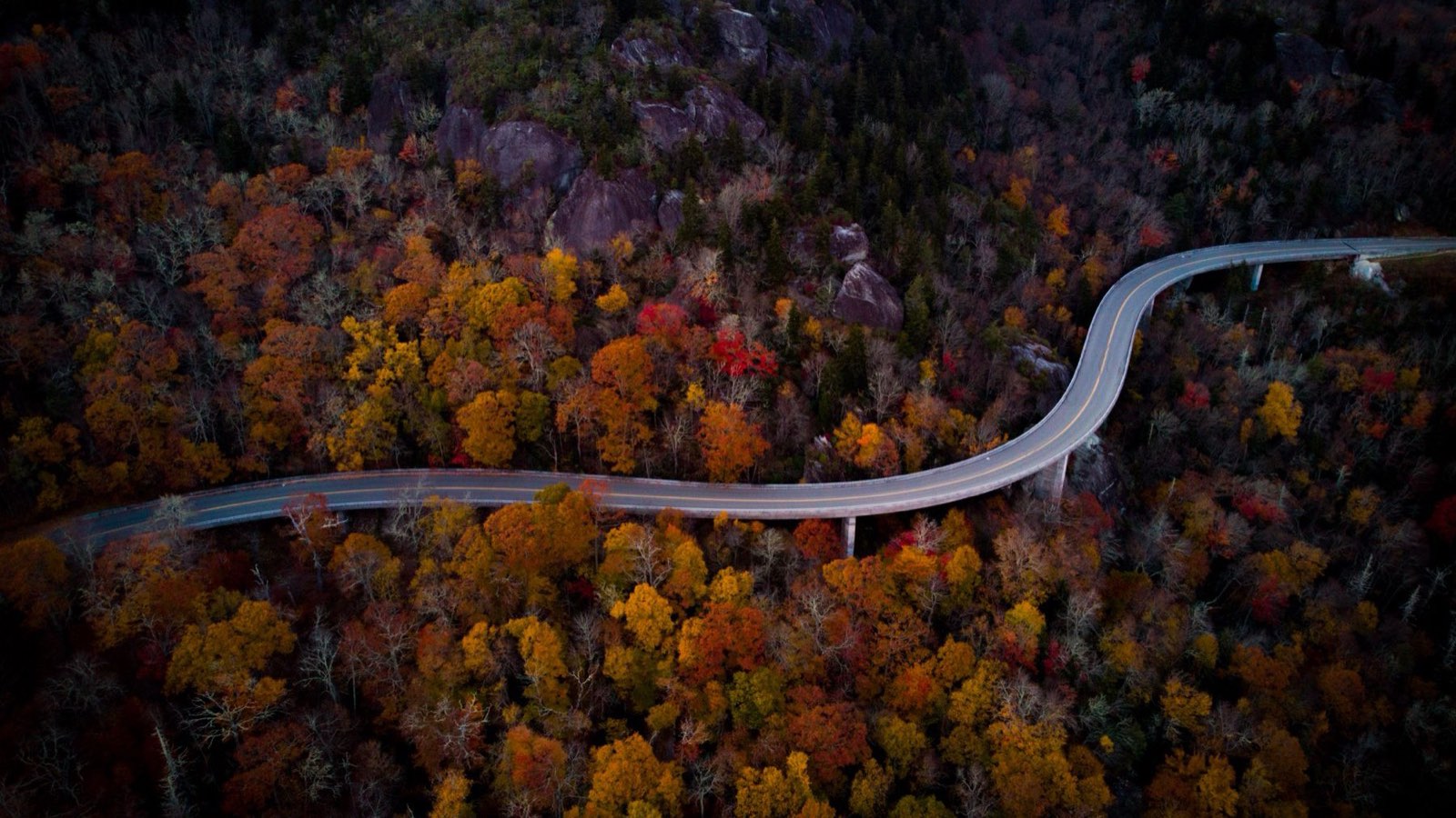 The Linn Cove Viaduct curving around Grandfather Mountain above a forest at peak autumn color