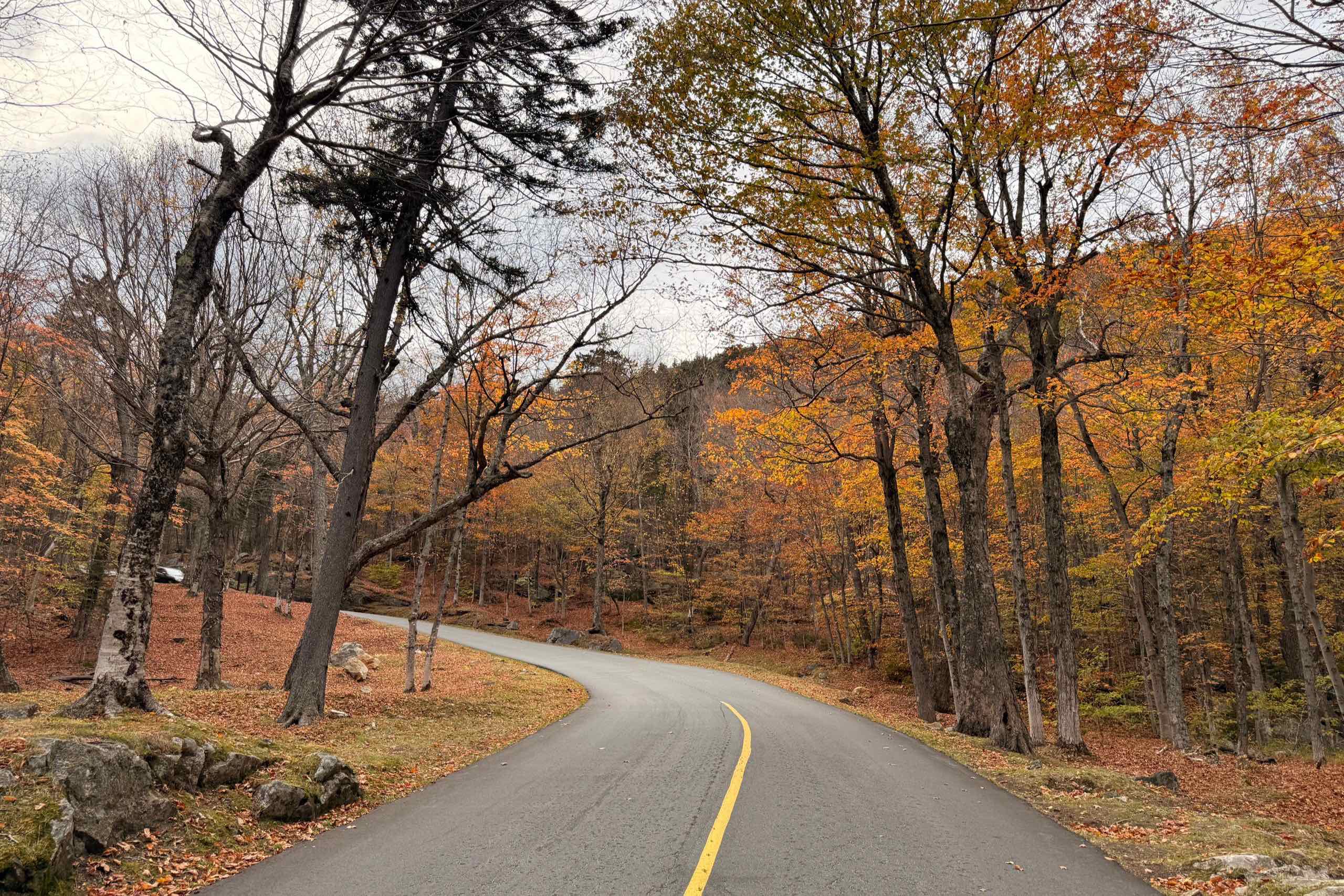 Two-lane road curving through orange and yellow autumn foliage in the White Mountains, New Hampshire